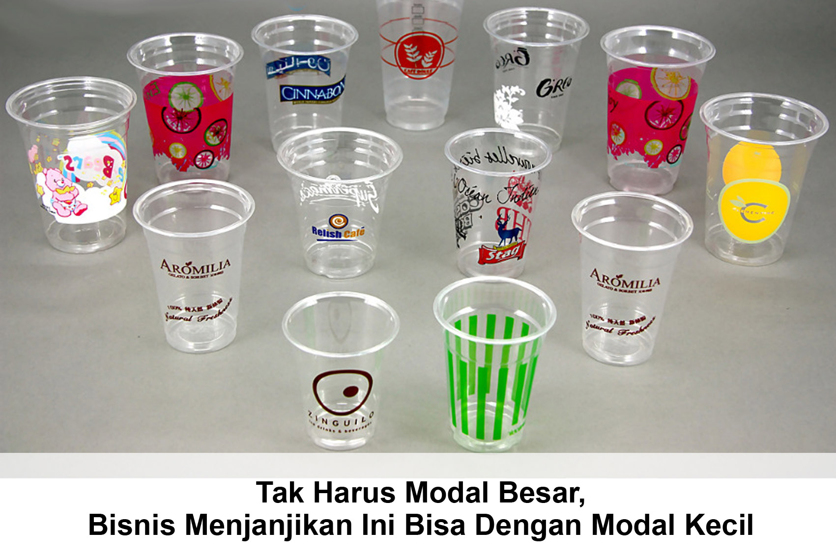 bisnis menjanjikan dengan modal kecil