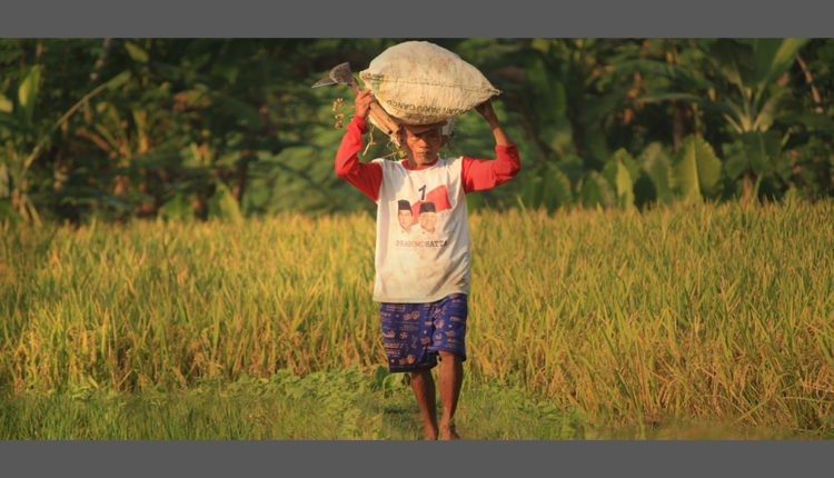 belajar dari kehidupan petani